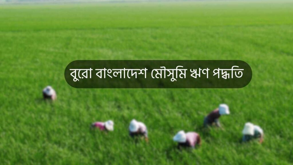 বুরো বাংলাদেশ মৌসুমি ঋণ পদ্ধতি