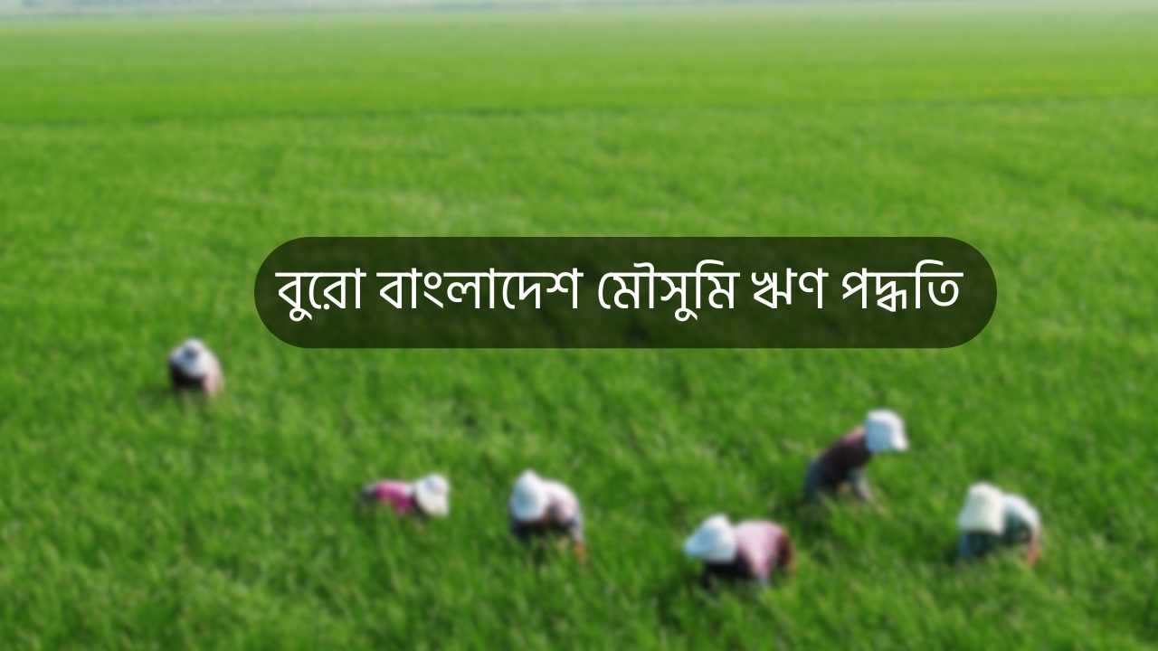 বুরো বাংলাদেশ মৌসুমি ঋণ পদ্ধতি